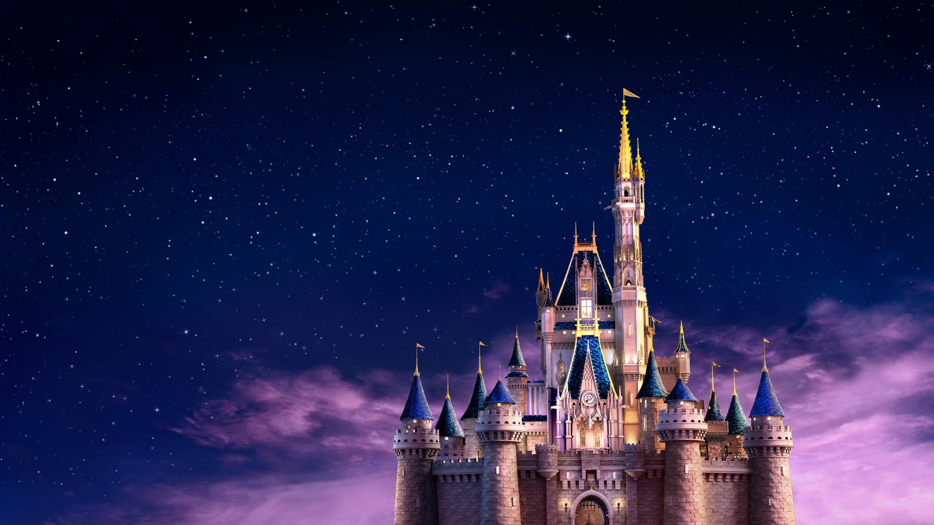Wish Upon a Star ✨